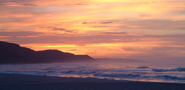 Punta Arrocito Condos